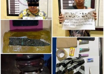Satresnarkoba Polres Dharmasraya Tangkap Dua Tersangka Pengedar Ganja  