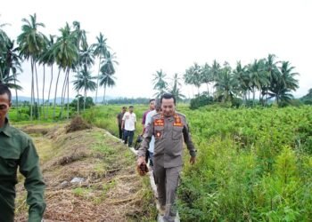 Garcep, Bupati Eka Putra Tinjau Lokasi Terdampak Lahar Dingin