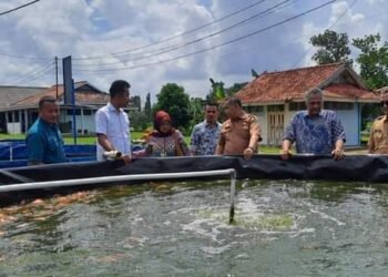 Komisi II DPRD Dharmasraya Konsultasi Pengembangan Ikan Air Tawar ke Muaro Jambi