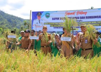 Lakukan Panen Raya Padi Keltan Subur, Bupati Pasaman Sabar AS: Metode SLHP Patut Dikembangkan