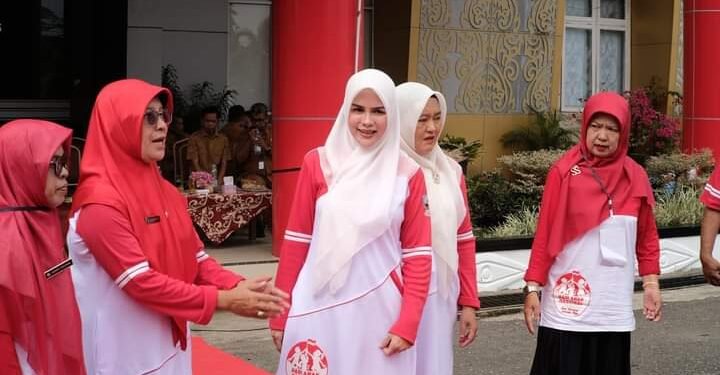 Bunda PAUD Dharmasraya: Kolaborasi Wali Murid dan Guru Akan Menentukan Keunggulan Anak