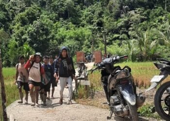 Jumlah Korban Longsor Tambang Emas 22 Orang, BPBD Solok Pastikan 11 Orang Meninggal. Ini Datanya