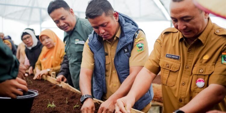 Wabup Solok Jon Firman Pandu Dorong Aktivitas Pembibitan Komoditi Kentang Berbasis Smart Farming