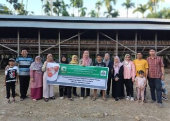 Meningkatkan Produksi Telur Melalui Formulasi Pakan Kaya Nutrisi