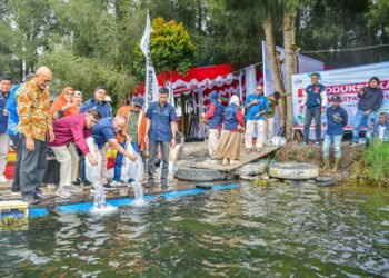 Setelah Danau Singkarak, PT Semen Padang Lepaskan 1.500 Ekor Ikan Bilih ke Danau Diatas