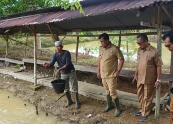 Bupati Dharmasraya Dukung Program Ketahanan Pangan dari Pemerintah Pusat
