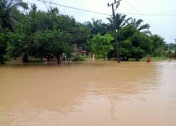 Bupati Dharmasraya Annisa Suci Ramadhani Minta OPD Terkait Bergerak Cepat Tangani Warga Terdampak Banjir Timpeh