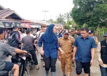 Pantau Kondisi Warga,Bupati dan Wakil Bupati Dharmasraya Turun Kelokasi Banjir di Abai Siat