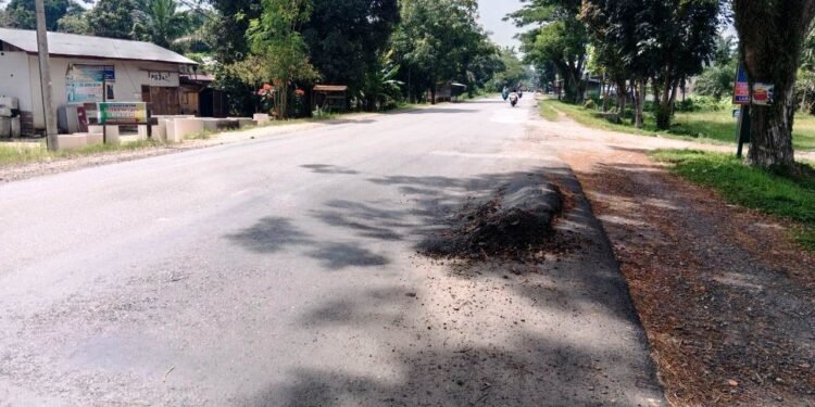 Jalinsum di Wilayah Dharmasraya Penuh Lobang , Tanggung Jawab PJN Dipertanyakan
