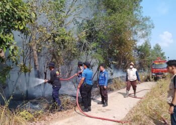 Kebakaran Lahan Dimana-Mana, Petugas Damkar Kabupaten Solok Bekerja Ekstra