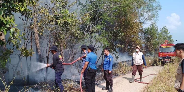 Kebakaran Lahan Dimana-Mana, Petugas Damkar Kabupaten Solok Bekerja Ekstra