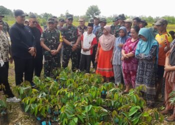 Tebar Bibit Ikan, Ratusan Pohon Buah, dan Bantuan Pupuk Warnai TMMD Ke-126 Kodim 0305 di Pasaman Barat