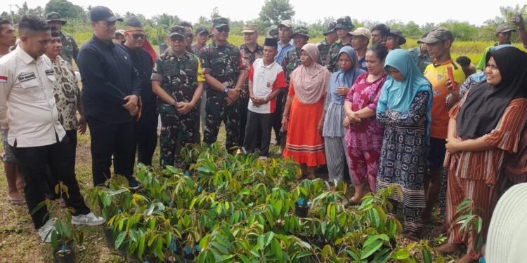 Tebar Bibit Ikan, Ratusan Pohon Buah, dan Bantuan Pupuk Warnai TMMD Ke-126 Kodim 0305 di Pasaman Barat