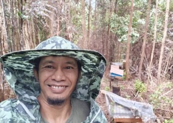 Budidaya Madu Galo Galo Supayang Potensial Dikembangkan, Petani Butuh Pelatihan dan Promosi Usaha