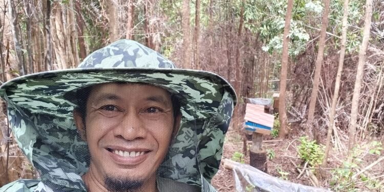 Budidaya Madu Galo Galo Supayang Potensial Dikembangkan, Petani Butuh Pelatihan dan Promosi Usaha