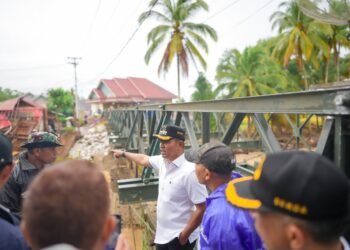 Progres Pengerjaan Bailey di Jembatan Bawah Kubang Mengembirakan, Bupati Solok Takjub