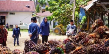 Harga Sawit