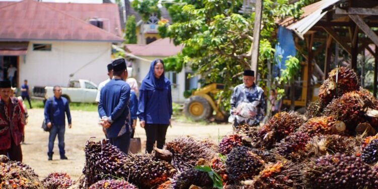Harga Sawit