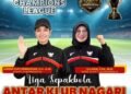 Dharmasraya Champion League