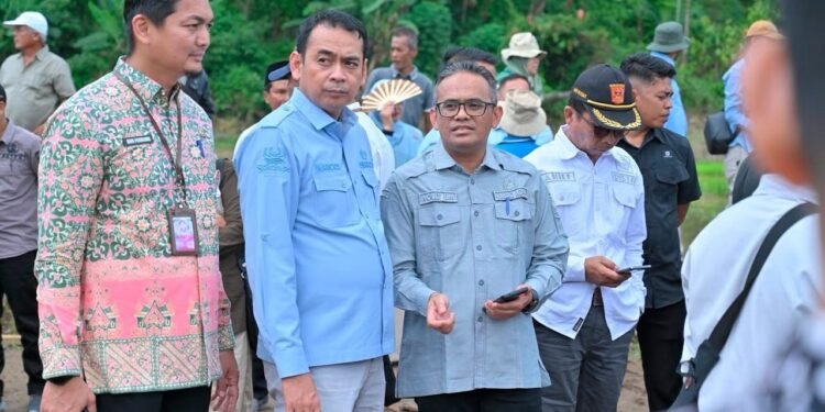 Nolly Eka Mardianto