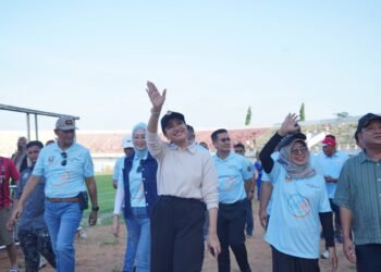 Pembukaan DCL