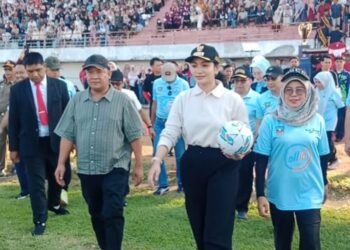 Dharmasraya Champion League