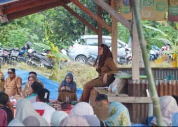 Bantuan Alsintan