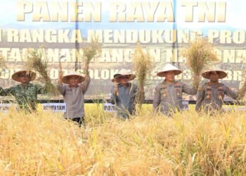 Panen Raya