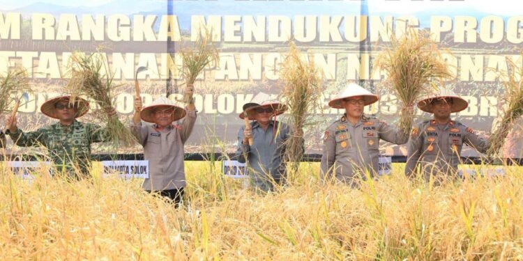 Panen Raya