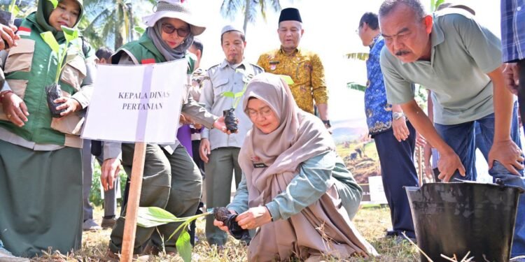Tanam Pisang