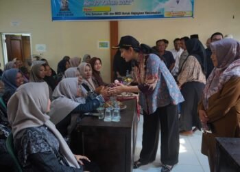 Ibu Hamil
