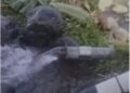 Pipa Jaringan