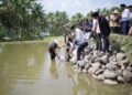 Bantuan Benih Ikan