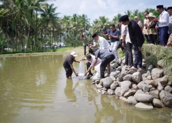 Bantuan Benih Ikan