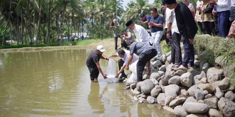 Bantuan Benih Ikan