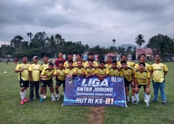Liga antar Jorong