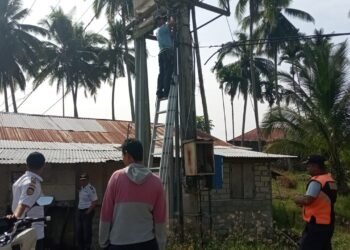 Lampu