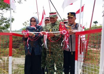 Jembatan Garuda