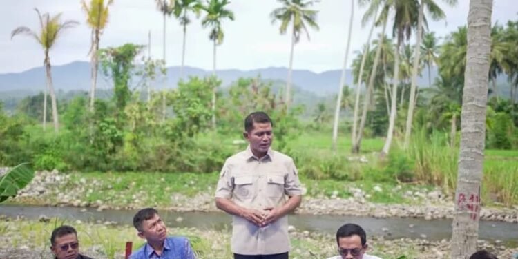 Bupati Solok