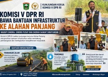 Pemkab Solok