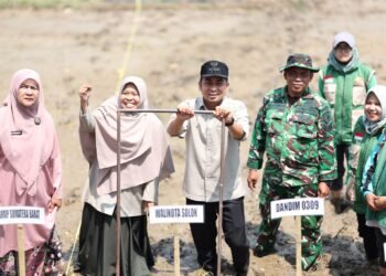 Sawah Solok