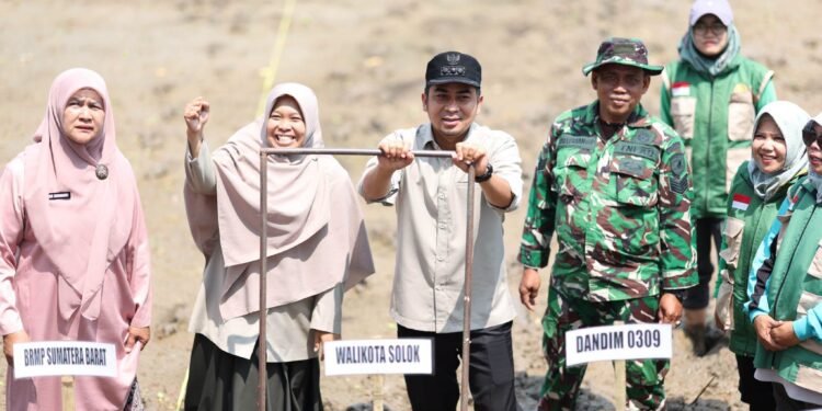 Sawah Solok