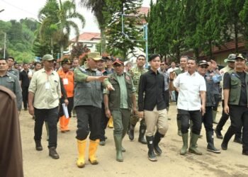 Wakil Presiden