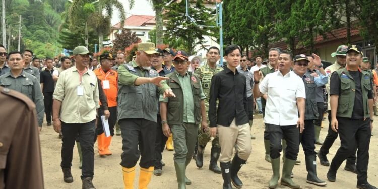 Wakil Presiden