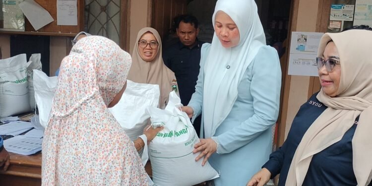 Bantuan beras