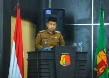 Wali Kota Solok