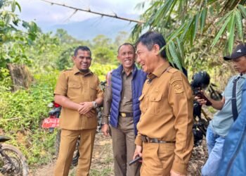 Kebun Kopi