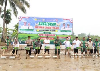 Modernisasi Pertanian