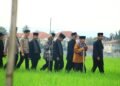 Sawah Solok
