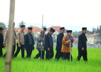 Sawah Solok